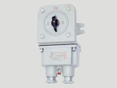 BZZ51系列防爆轉(zhuǎn)換開關(guān)(ⅡB、ⅡC)